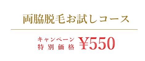 両脇脱毛お試しコース