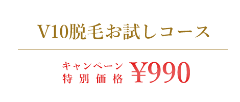 V10脱毛お試しコース