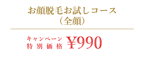 お顔脱毛お試しコース（全顔）