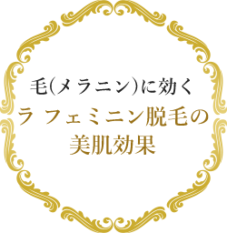 毛(メラニン)に効くラ フェミニン脱毛の美肌効果