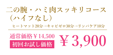 二の腕、ハミ肉スッキリコース（ハイフなし）