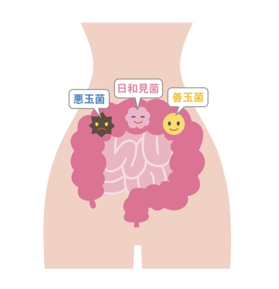 E3BB3D7E-4AE8-4B45-BE27-0BC6151D9B29
