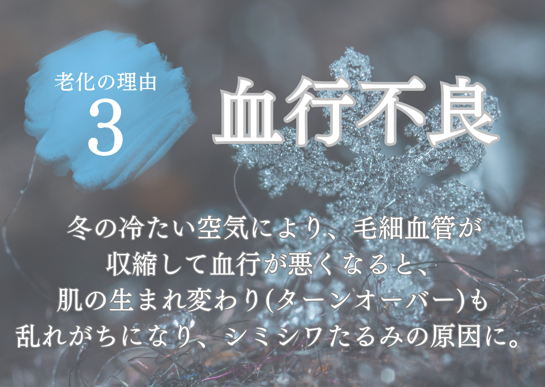 冬が「肌を老化させる」って ご存知ですか？